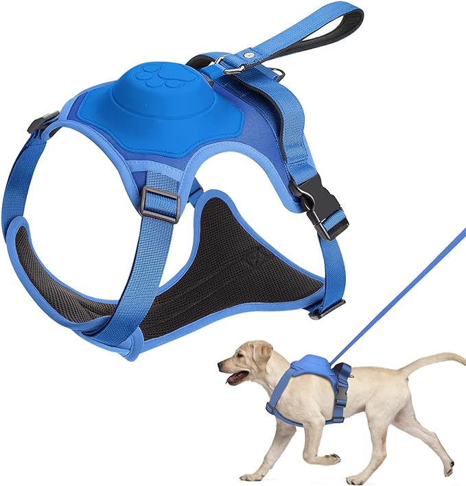 Pfotenwalk pro
