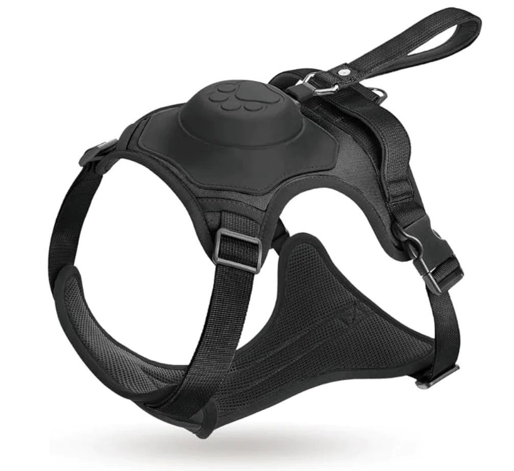 Pfotenwalk pro