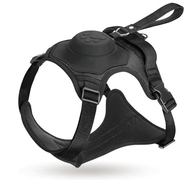 Pfotenwalk pro