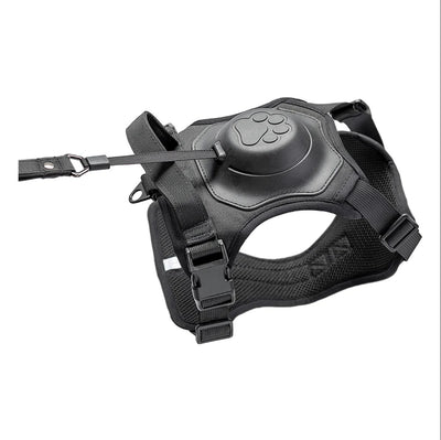 Pfotenwalk pro