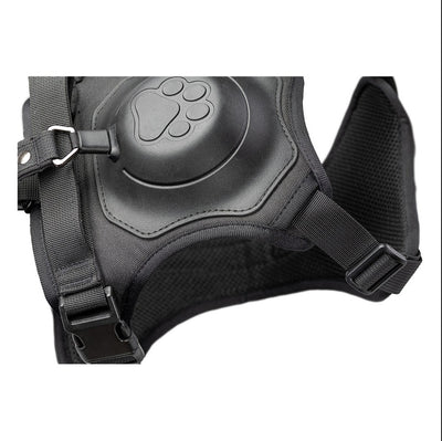 Pfotenwalk pro
