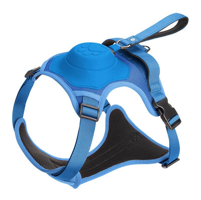 Pfotenwalk pro