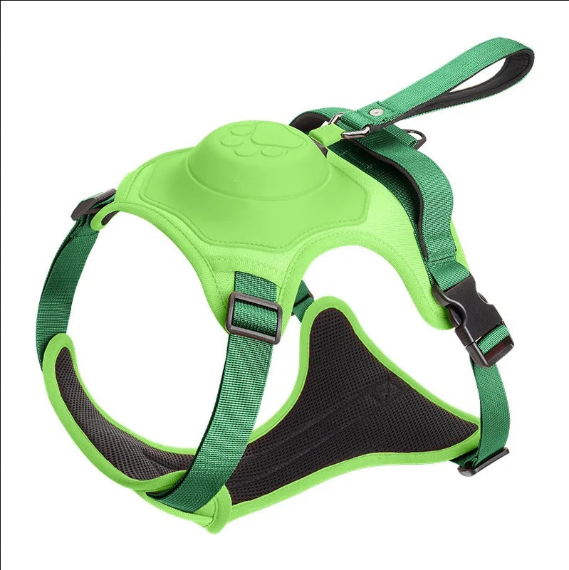 Pfotenwalk pro