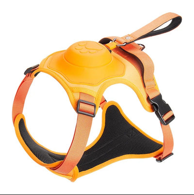 Pfotenwalk pro