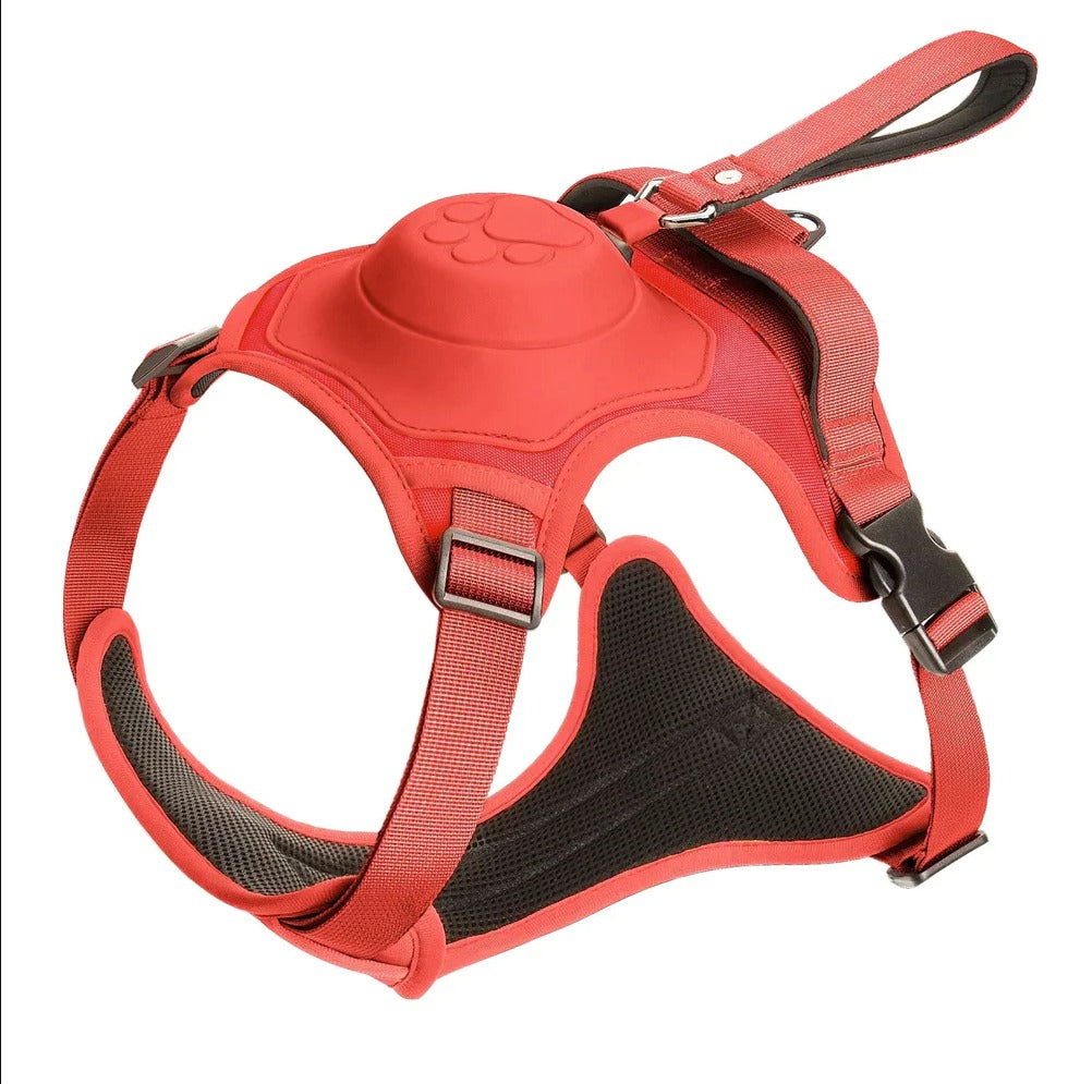 Pfotenwalk pro