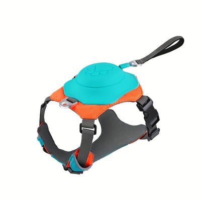 Pfotenwalk pro